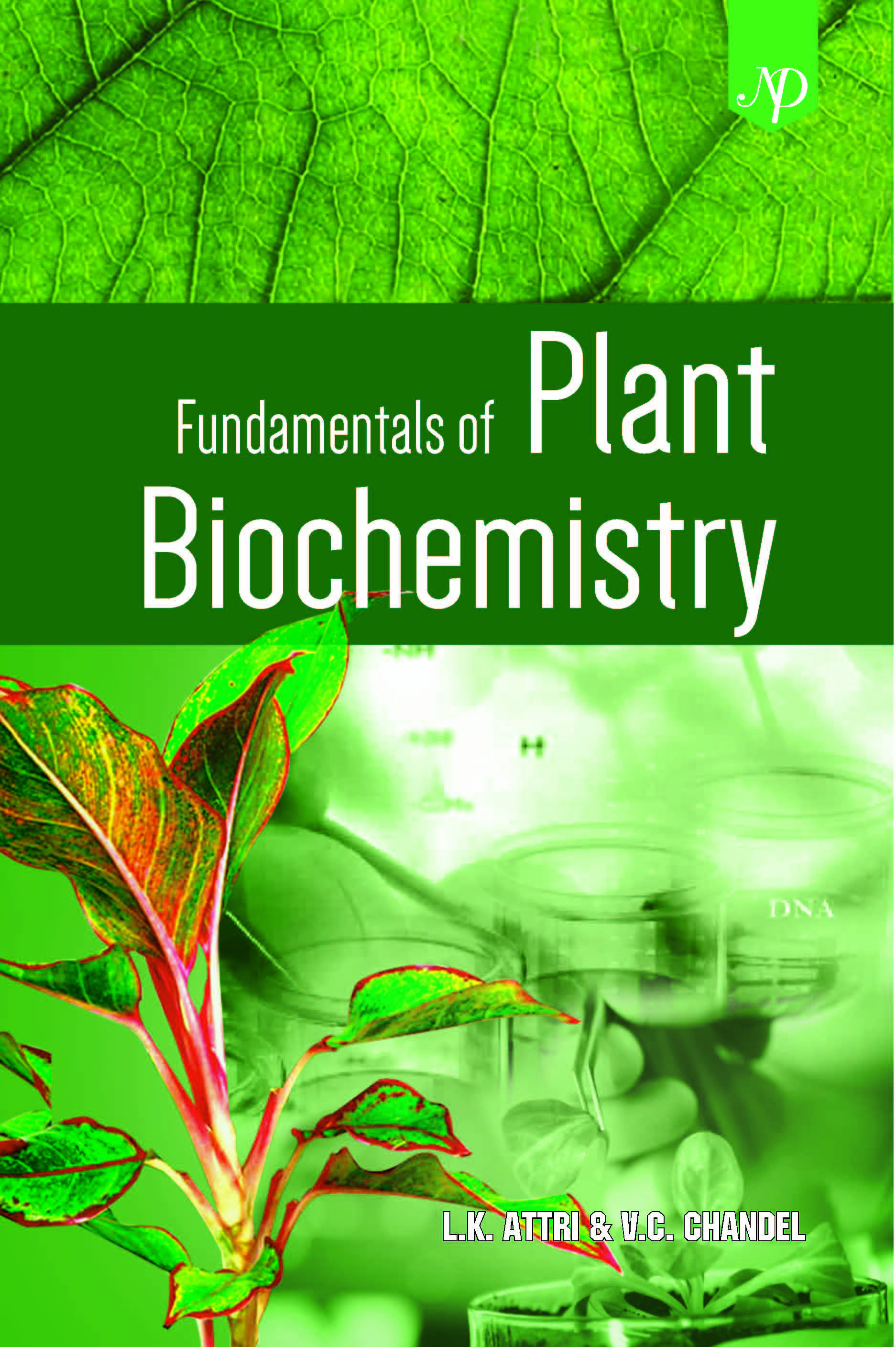 Fundamentals of Plant Biochemistry